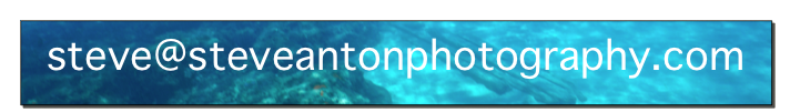 steve@steveantonphotography.com